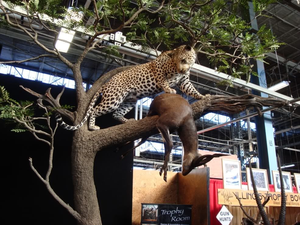 Eastern Sports Show Harrisburg Mount Pics Archery Talk Forum